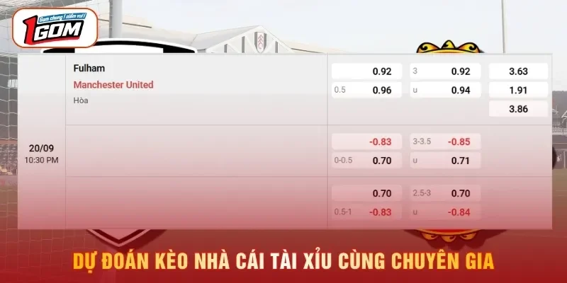 Dự đoán kèo nhà cái tài xỉu cùng chuyên gia