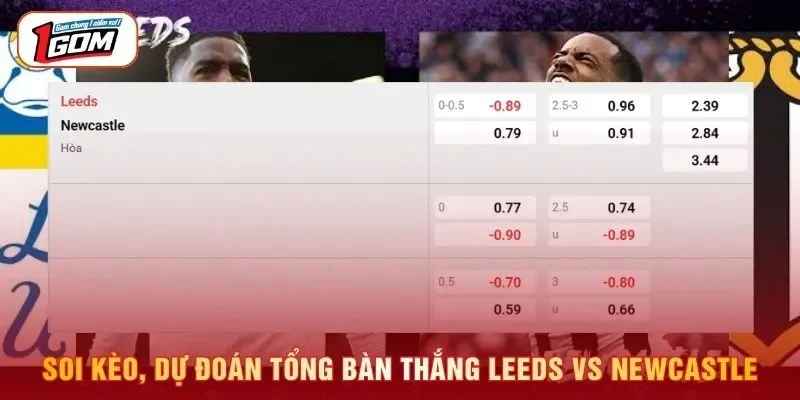 Soi kèo, dự đoán tổng bàn thắng Leeds vs Newcastle