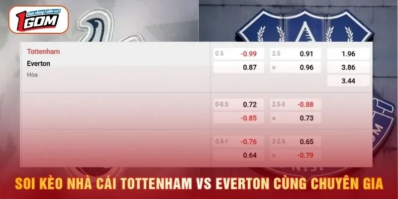 Soi kèo nhà cái Tottenham vs Everton cùng chuyên gia